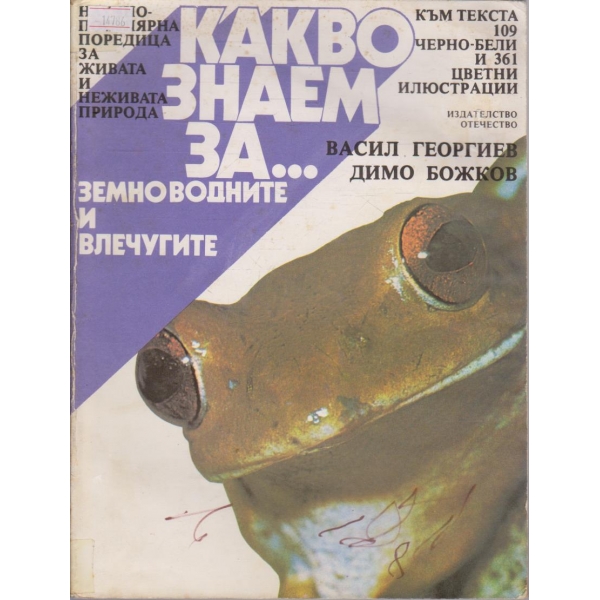 Какво знаем за земноводните и влечугите