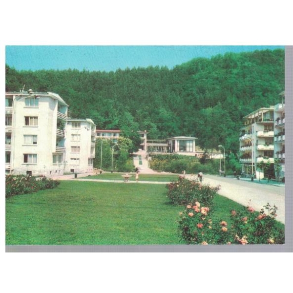 Берковица