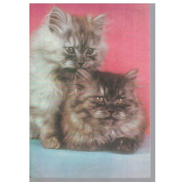 Котета