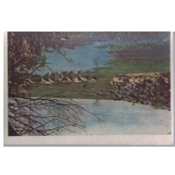 Водопой