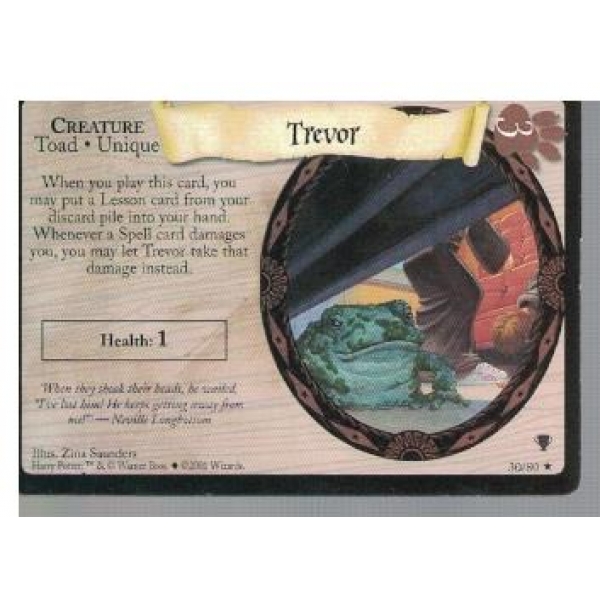 Harry Potter trading card №30/80
