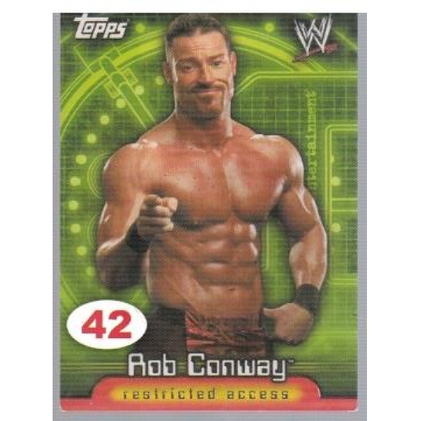 Wrestle Mania №42 Rob Conway