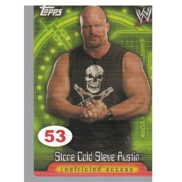 Wrestle Mania №53 Stone Cold Steve Austin