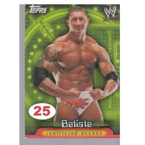 Wrestle Mania №25 Batista