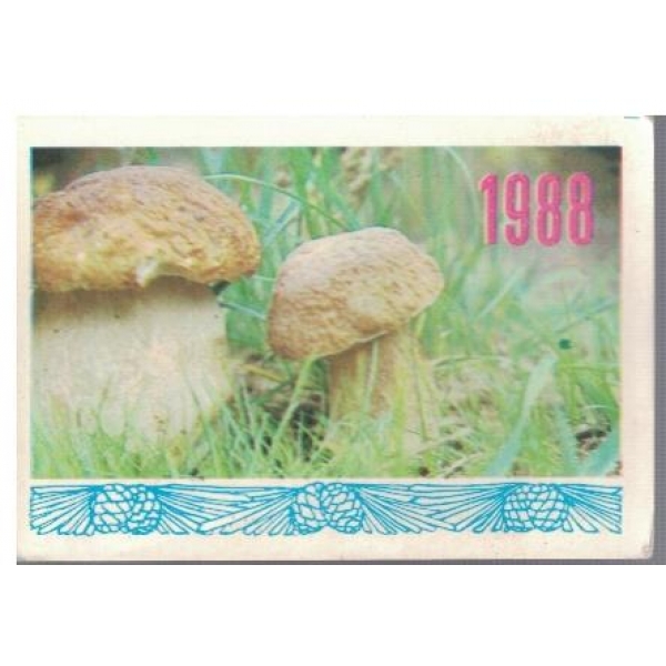 Гриби