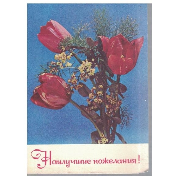 Наилучшие пожеелания!