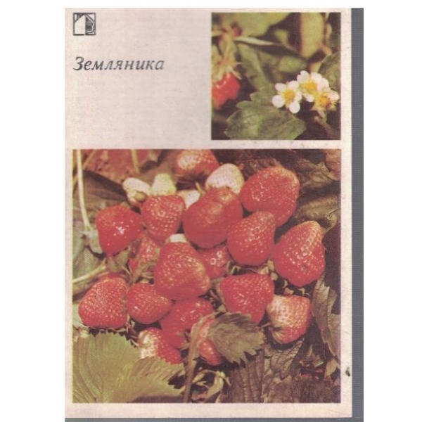 Земляника