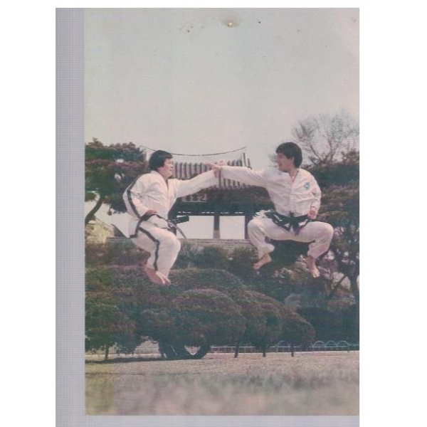 International Taekwon-Do Federation