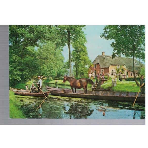 Vervoer paard per boot