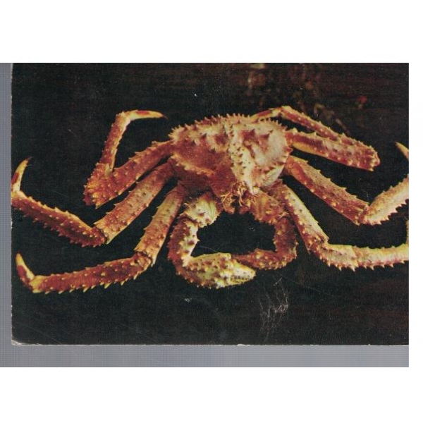 Принесите домой океан