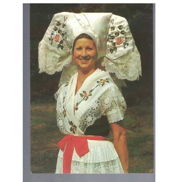 Dolnoserbska drastwa