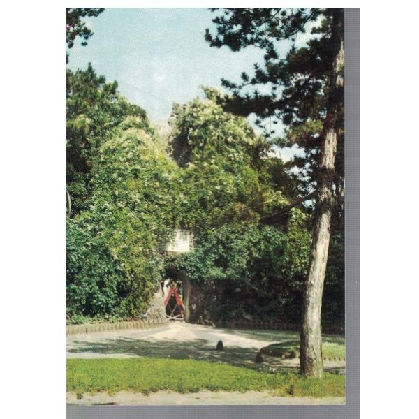 Плевен