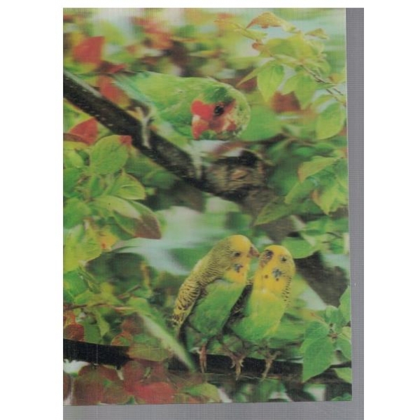 Parrots