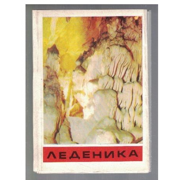 Леденика