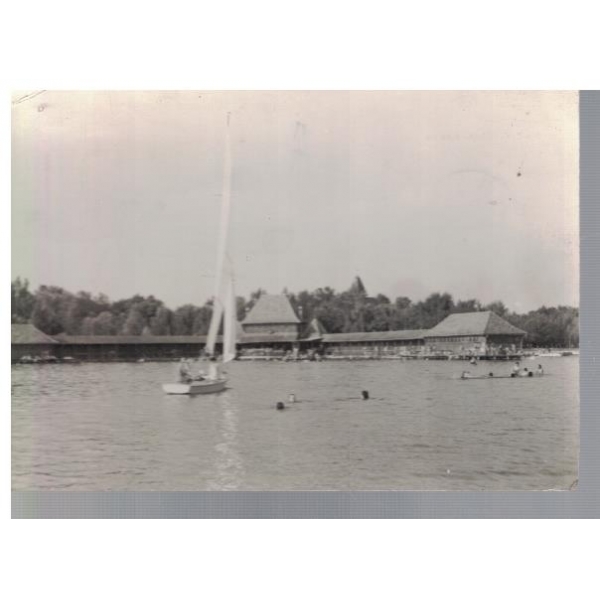 Palic