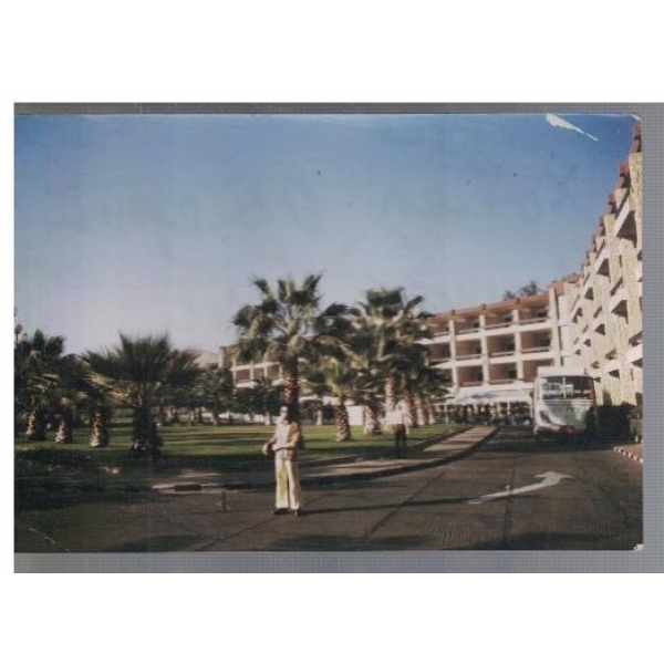 Palms