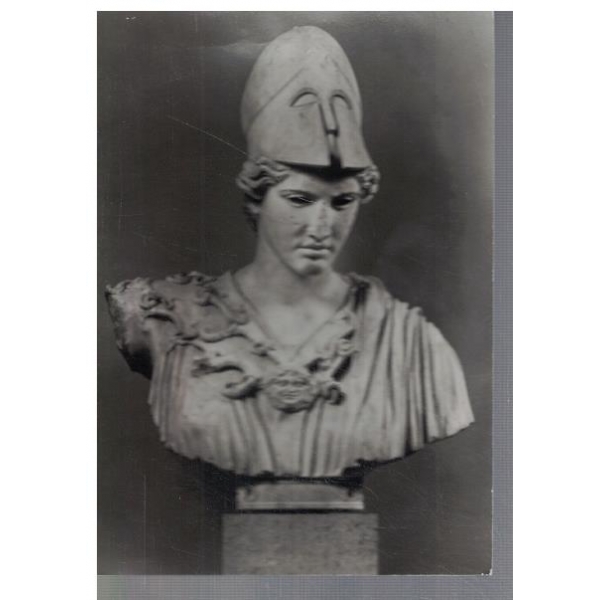 Athena - buste