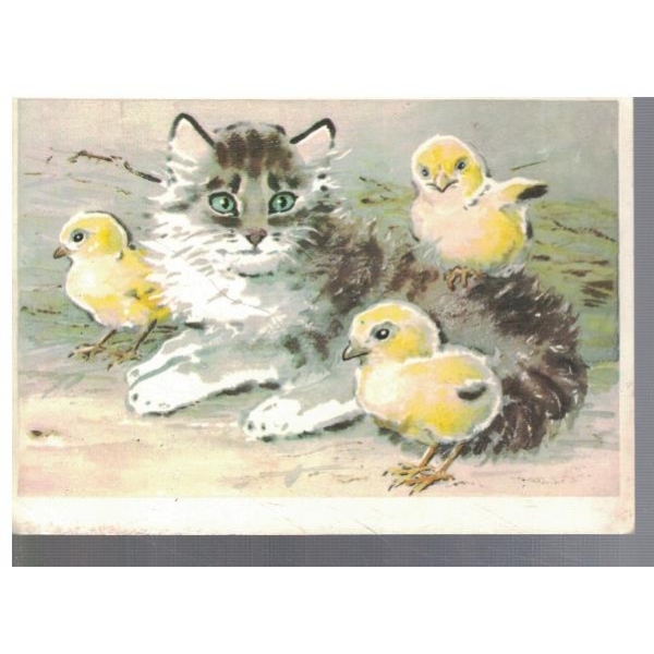 Кошка и друзя