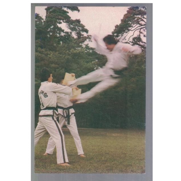 International Taekwon-Do Federation