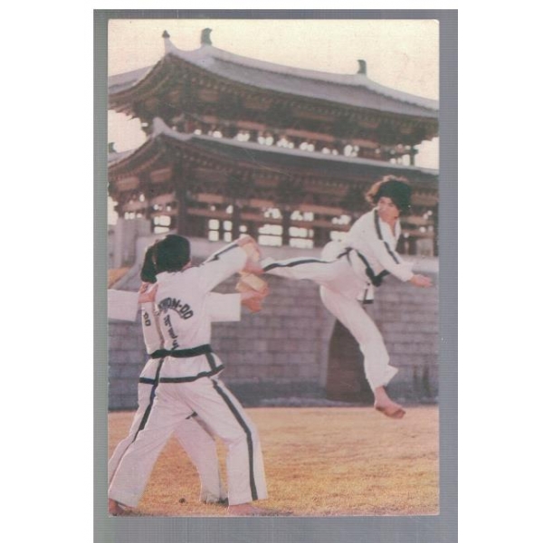 International Taekwon-Do Federation
