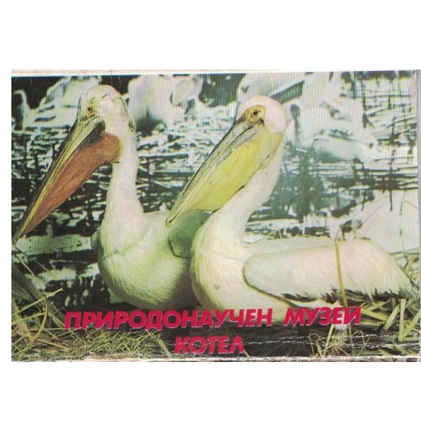 Природонаучен музей Котел