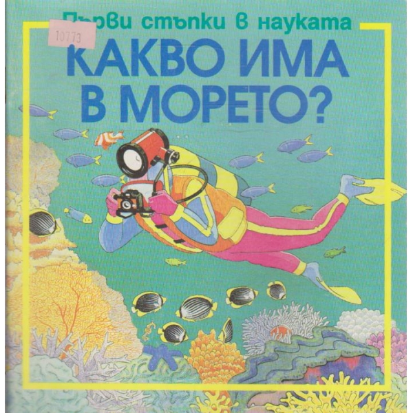 Какво има в морето